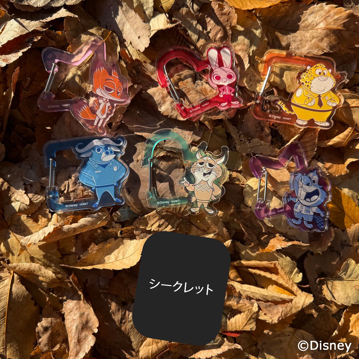 SKE48 ヴィレッジヴァンガード 店舗 限定 クリスマス 缶バッジ AKB48 ヴィレッジヴァンガード 店舗 限定 クリスマス 缶バッジ AKB48