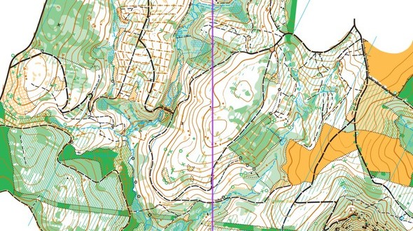 WorldofO.com tweet media