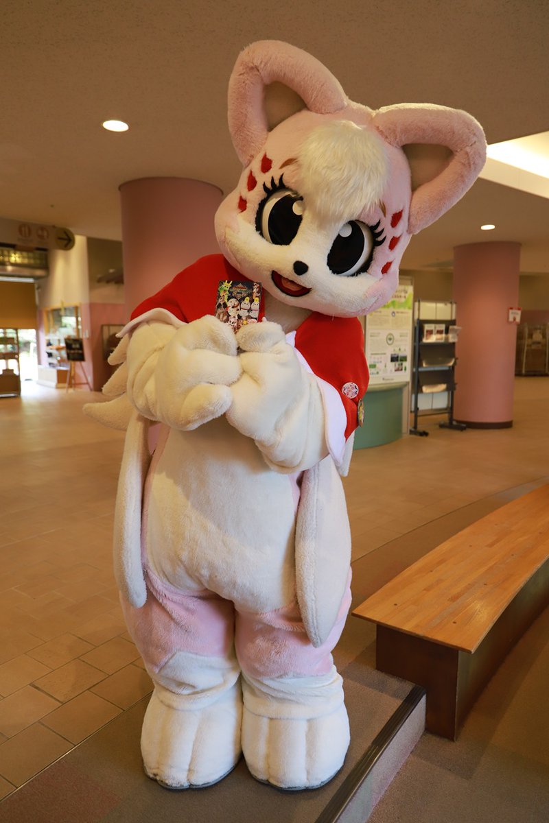 どんちゃん (@Donn_Chann) / Posts / X