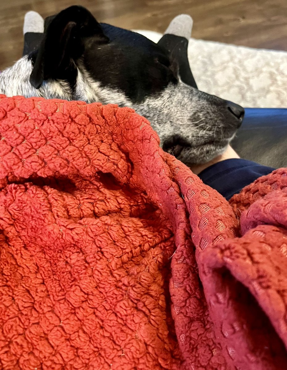 Anthony Spencer tweet media