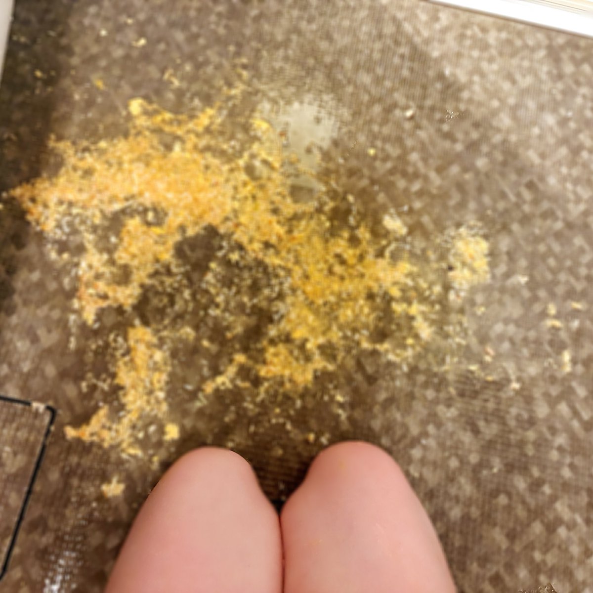 二日連続イラマと嘔吐でした🌸12月が終わる前に初めましてのご主人様がたくさんで嬉しかったです。うどんやパスタなど麺類が大好きで会う度に麺類が出てきますが…笑 ご主人様と何食べたか当てるのもシュールです。。(*´`)笑  ドロドロの私を見て頂くのはやっぱり私は大好きです。