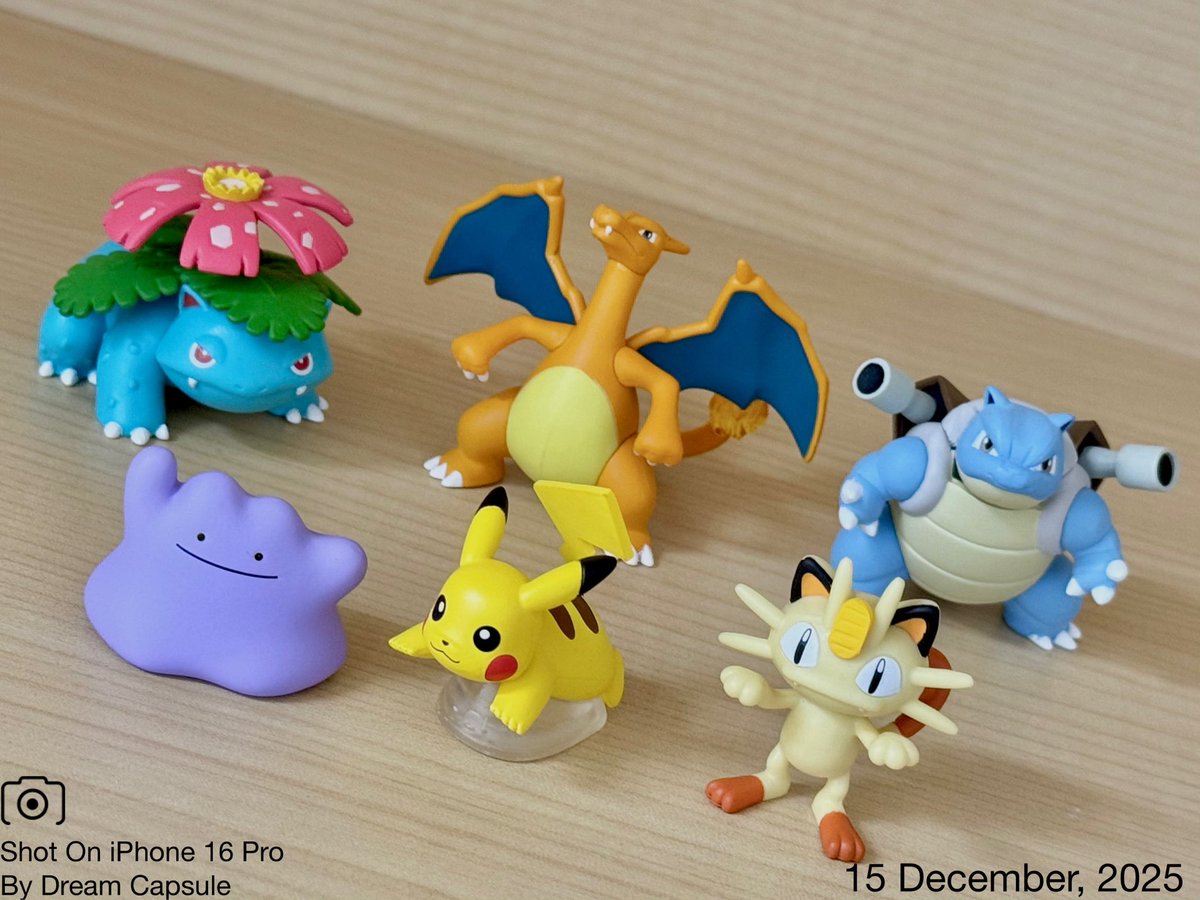 ドリームカプセルの中の人【公式】 tweet media