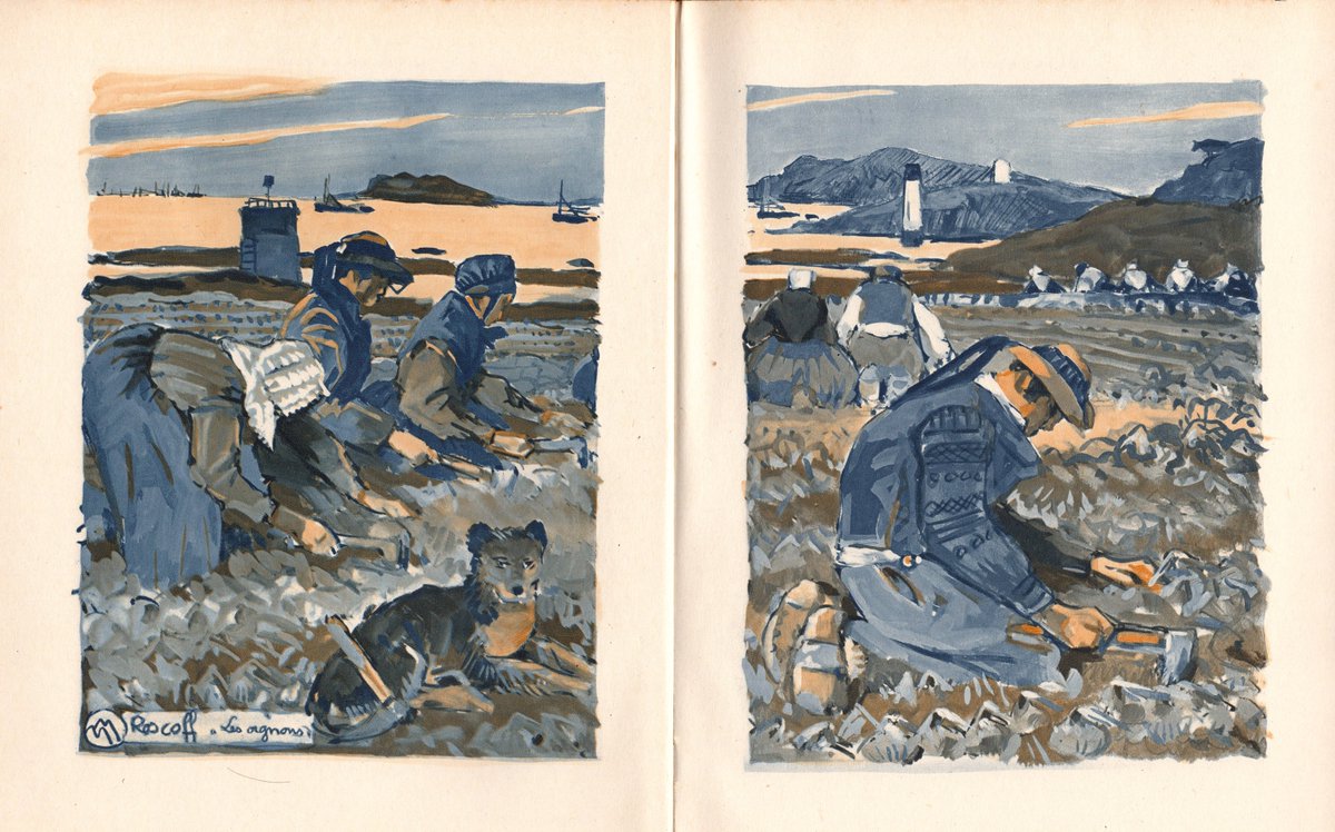 𝕊𝕥é𝕡𝕙𝕒𝕟 𝔸𝕘𝕠𝕤𝕥𝕠 tweet media