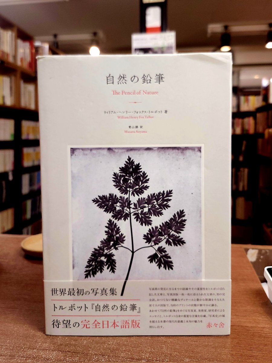自然の鉛筆 自然の鉛筆 | 誠光社 通信販売