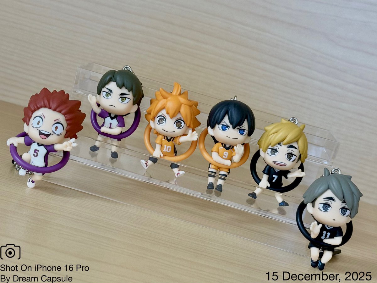 *.:。❁（グッズ整理中） ぴこり@グッズ整理中 (@pikokoringo) / Posts / X