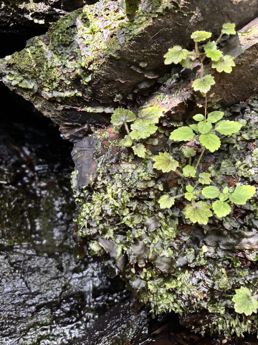 奥山雄大(茨城県在住関西人) tweet media