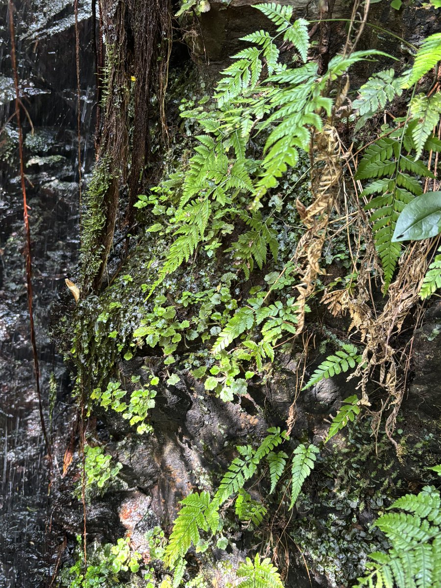 奥山雄大(茨城県在住関西人) tweet media