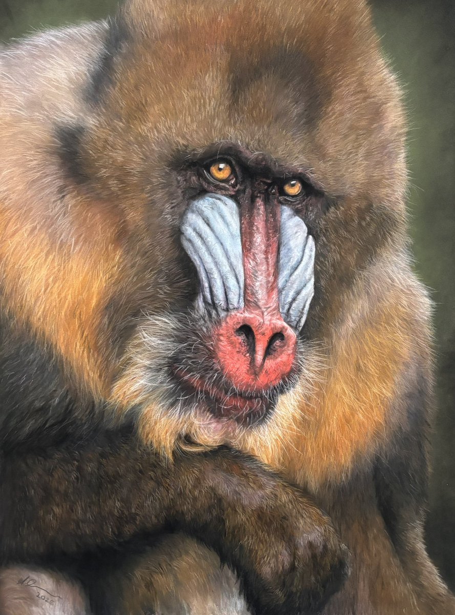 Megan Elizabeth - Artist tweet media