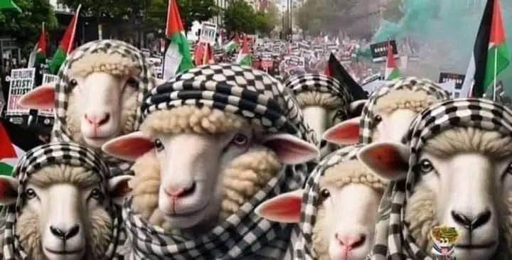 I risultati di questi irresponsabili dementi #bondiattack