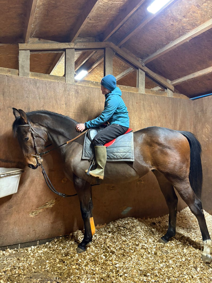 StudUniversal's tweet image. A very first peep at our very own Foment #Frankel yearling! He's quite something! No words needed!