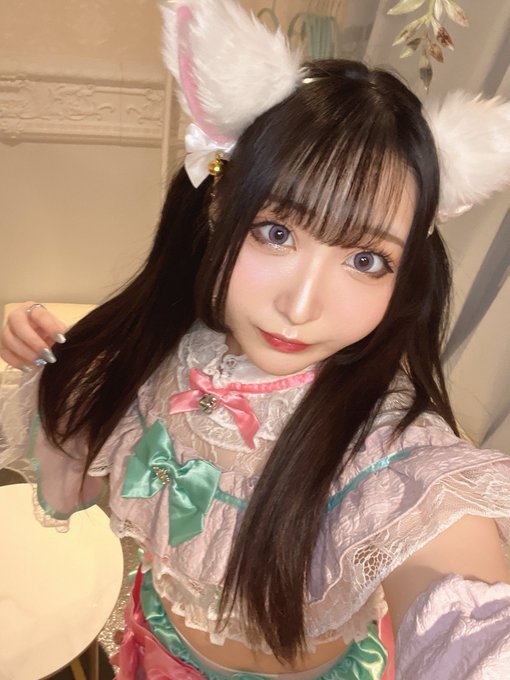 Dolly Catsのツイート