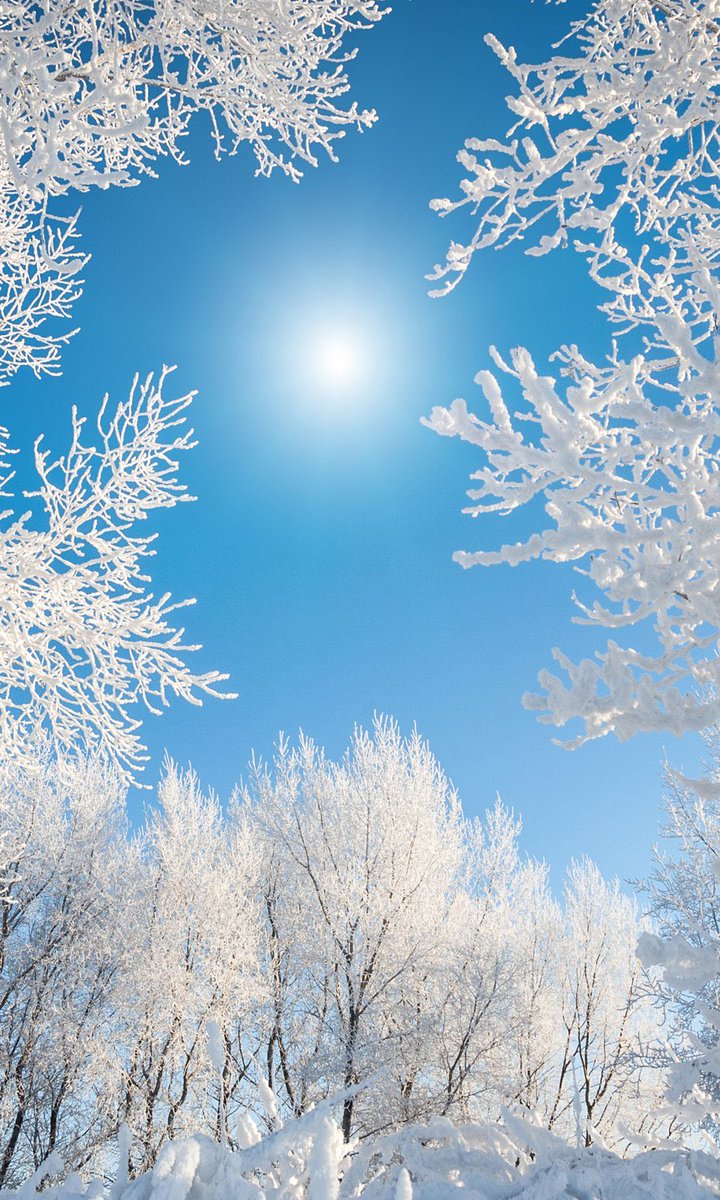 Bom dia a todos! / Good morning to all! …