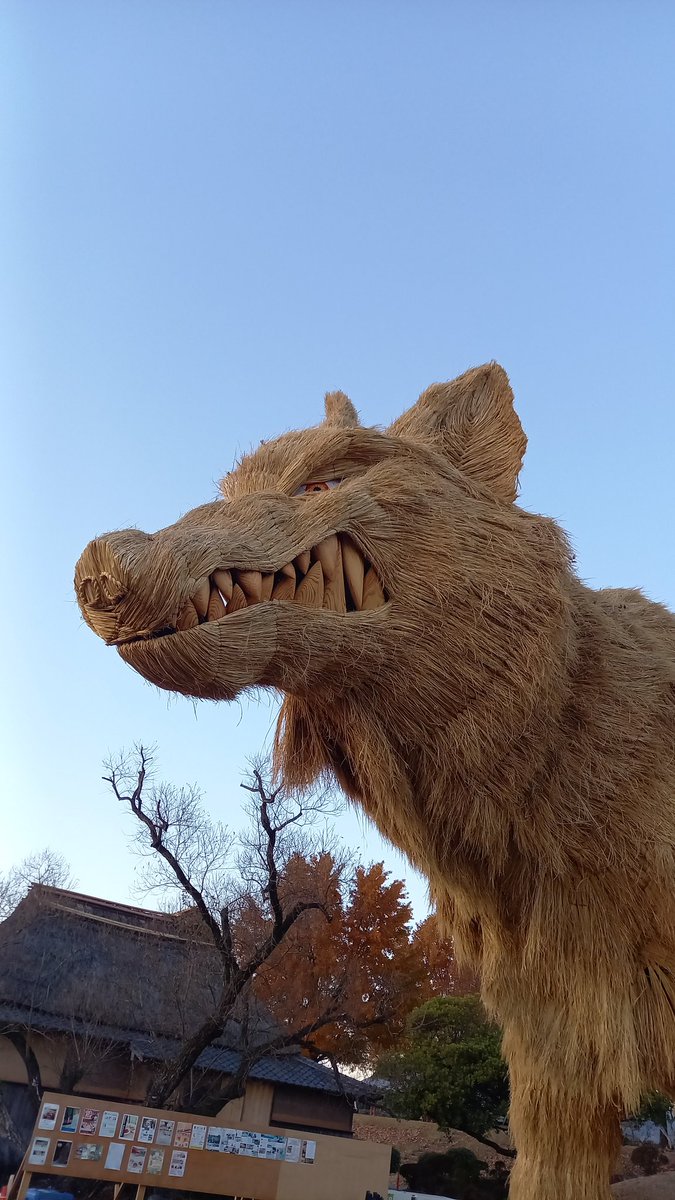 くまっち (@kumacchi4649) / Posts / X