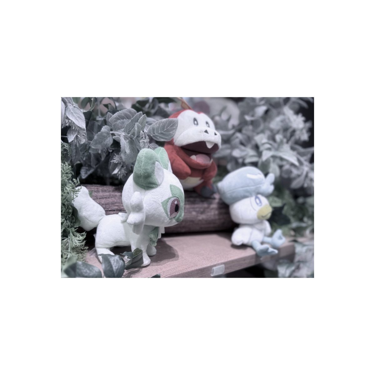 _g4tt4c4_'s tweet photo. ポケモンカフェと横浜赤レンガ梯子⊂(ᴖ ̫ᴖ  )⊃ ⸒⸒ https://t.co/D4JdE6H1ra