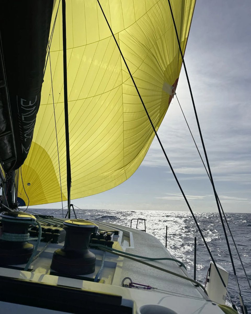 Integrel Solutions tweet media