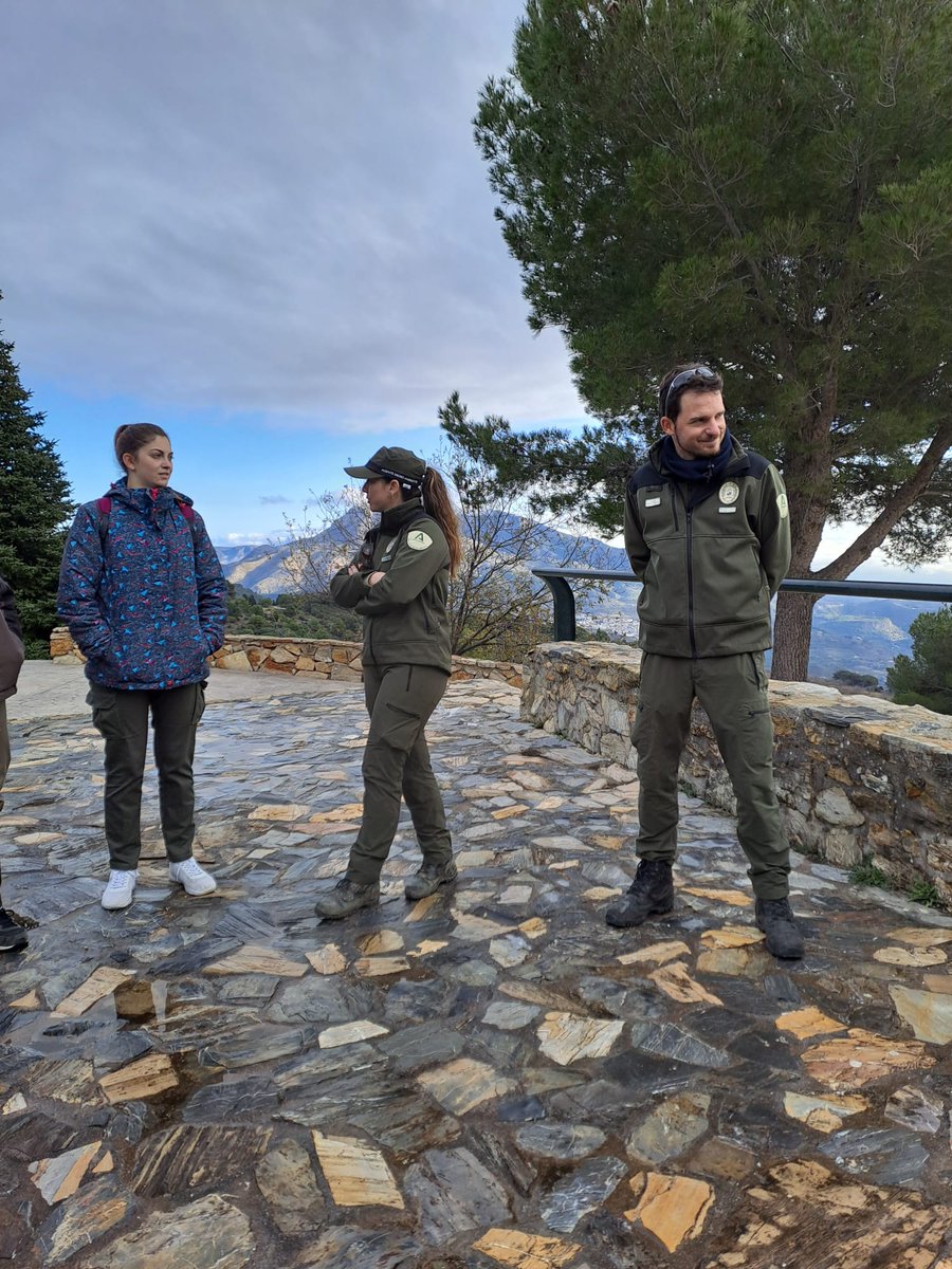 Los Agentes de Medio Ambiente del PN Sierra de las Nieves acompañan a alumnos de Bio+A Málaga en su visita al monte Morenas de Briñuela (Yunquera), mostrando trabajos de biomasa y prevención. También les orientan sobre oportunidades de empleo en torno al Parque. 🌿#AAMM