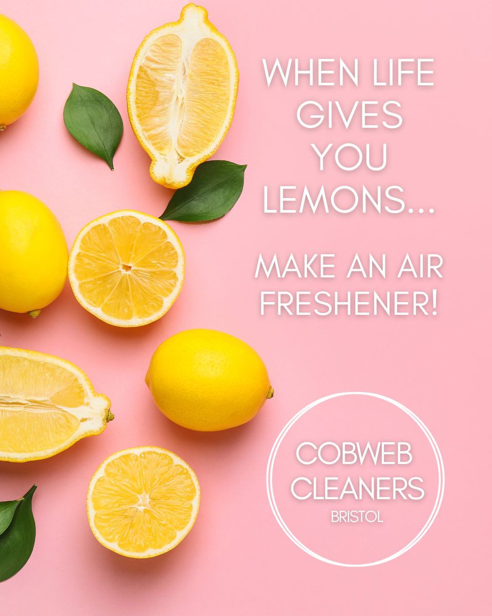 For a cheap and easy air freshener add lemon rinds, herbs, and spices to a pot of water on the stove. Bring it to the boil then let it simmer for an hour for a beautifully natural scent! 

Do you have any other eco tips?

#ecocleaningtips #bristolcleaningservice #bristolbusiness
