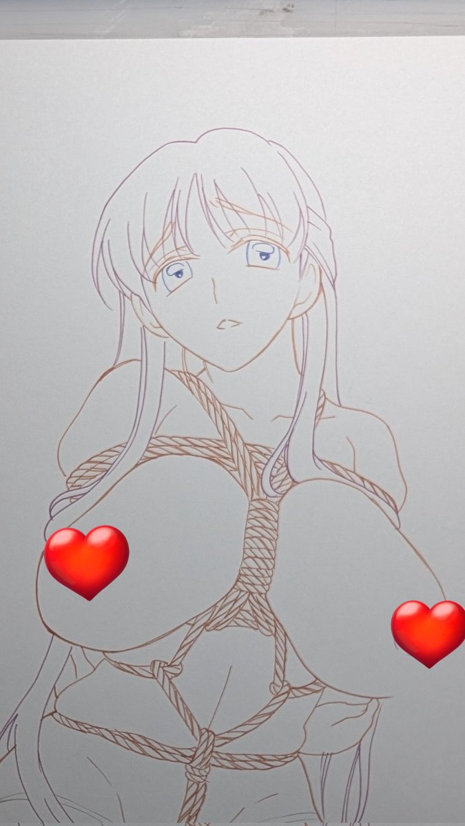 冬コミ新刊進捗です。
トーン、ホワイト作業と表紙線画終了しました。
今日はこれから表紙を仕上げます。 