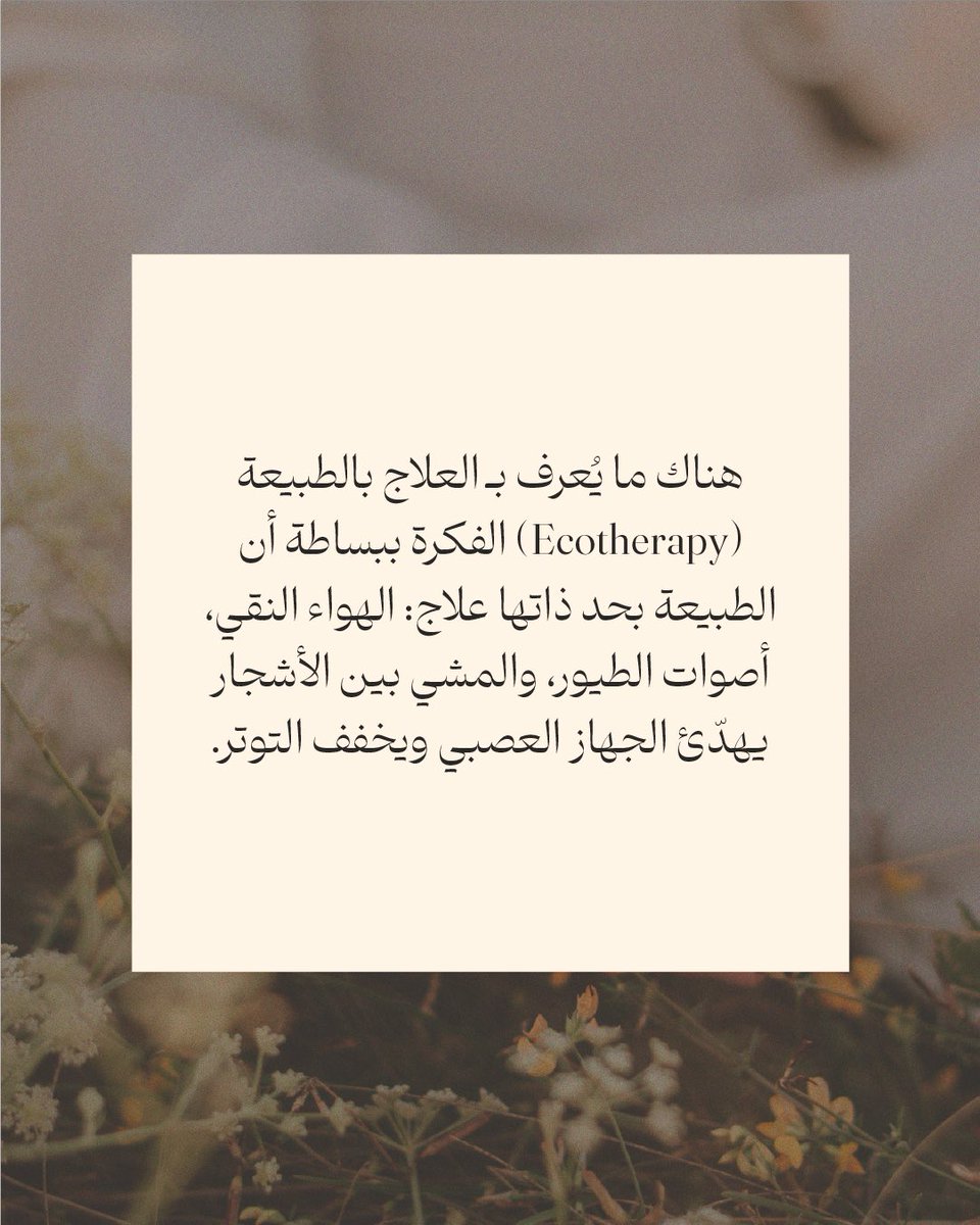 ebtehal_kazy's tweet photo. حين نضيق، يكفينا أن نقترب من #الطبيعة قليلًا؛
فهي لا تسأل، لا تحاكم، فقط تحتوينا…
وكأنها تقول: اطمئن، ما زال في #الحياة متّسع للراحة. https://t.co/7pff7j9Qoc