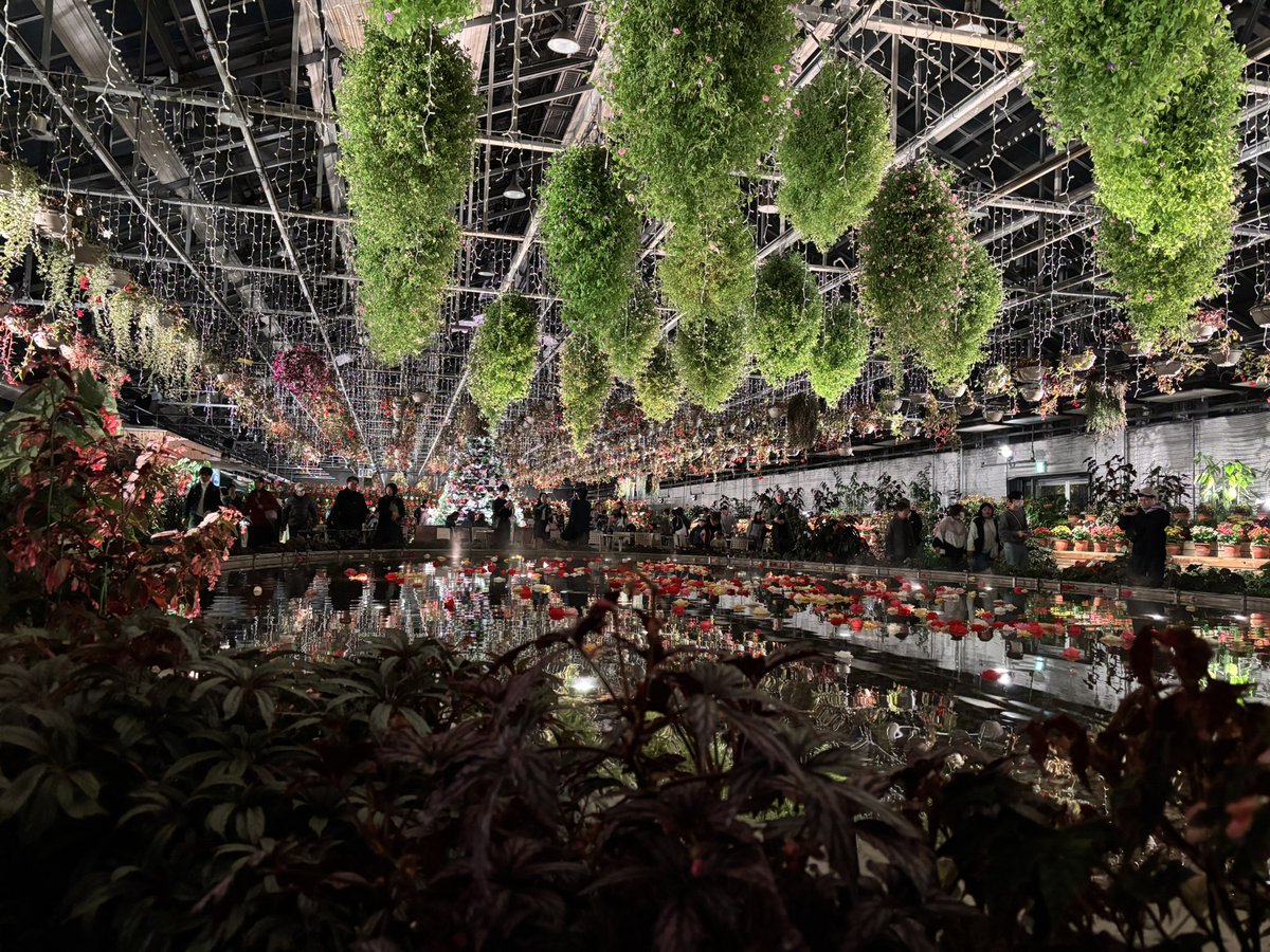 気がついたら秋🍂を通り越して冬⛄️
先月末から声を失いかけては取り戻しと繰り返していたけれどやっと戻った(と思いたい)！
気がついたら今年ももう少し！今年は最後まで美味しいものをたくさん食べて新年を迎えたい！！！(昨年は熱でダウンしてたからね…)