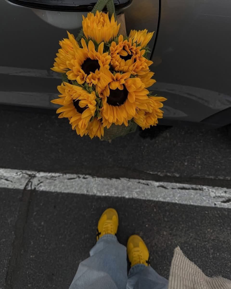 sunflowerchives's tweet photo. 🌻 https://t.co/aNTIQ00Wl4