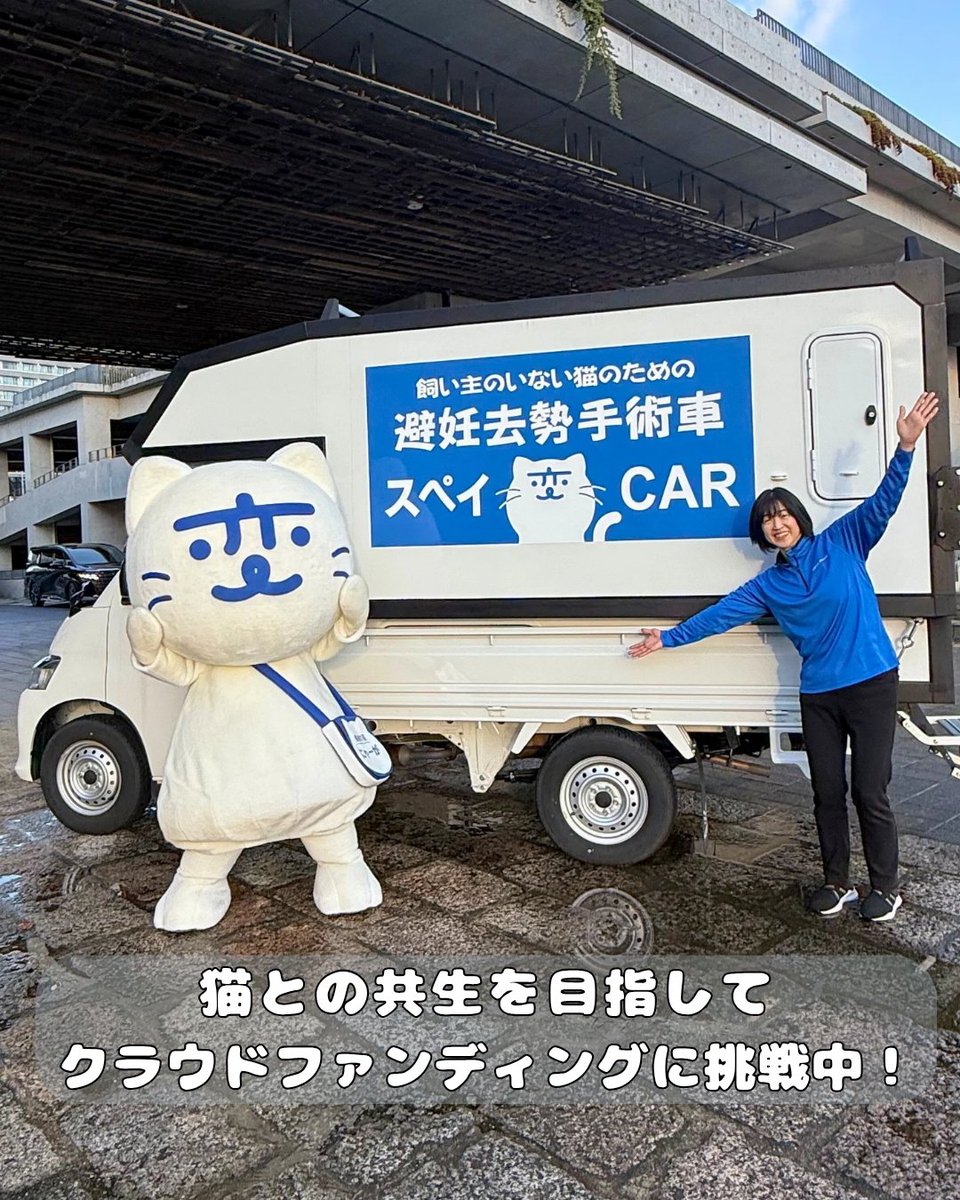 にゃーが 公式】にゃーが（長崎の変） (@nagasakinohen) / Posts / X