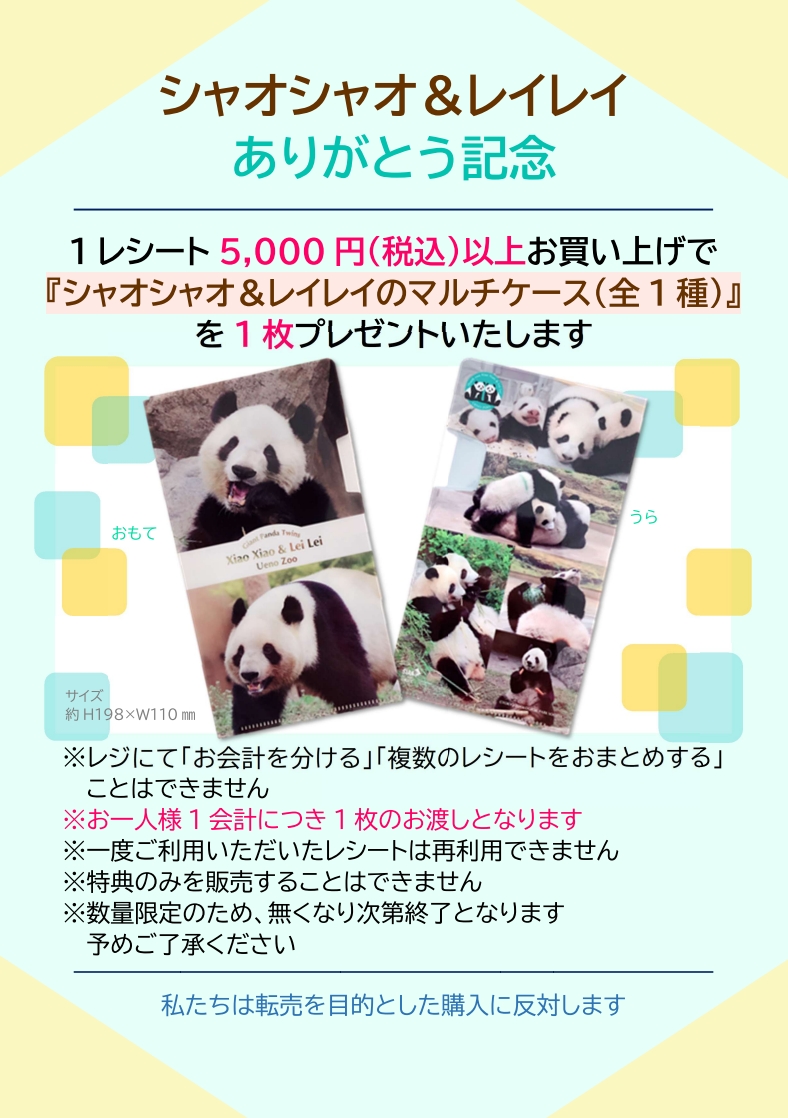 園内ギフトショップより】 双子のジャイアントパンダ 🐼暁暁＆蕾蕾