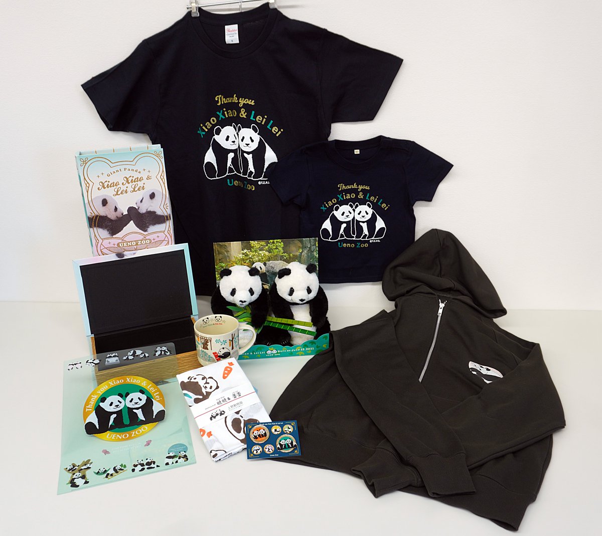 園内ギフトショップより】 双子のジャイアントパンダ 🐼暁暁＆蕾蕾