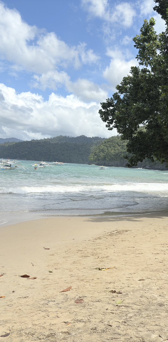 GoBeafeb's tweet image. #PuertoPrincesa