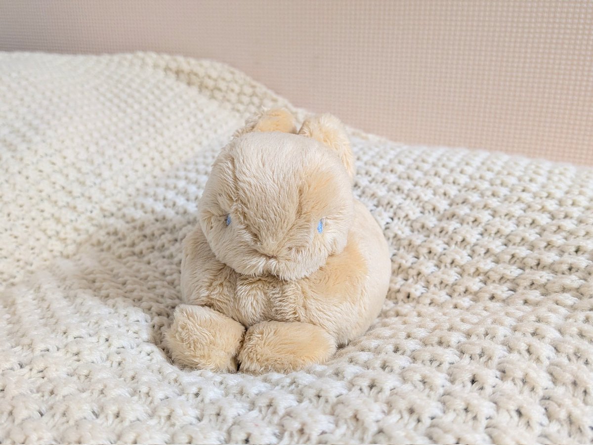 開運招福祥雲毛布です❗こちらは卯(うさぎ)になります❗ すごく好みな感じにもっふりとしたうさぎさんが生まれました