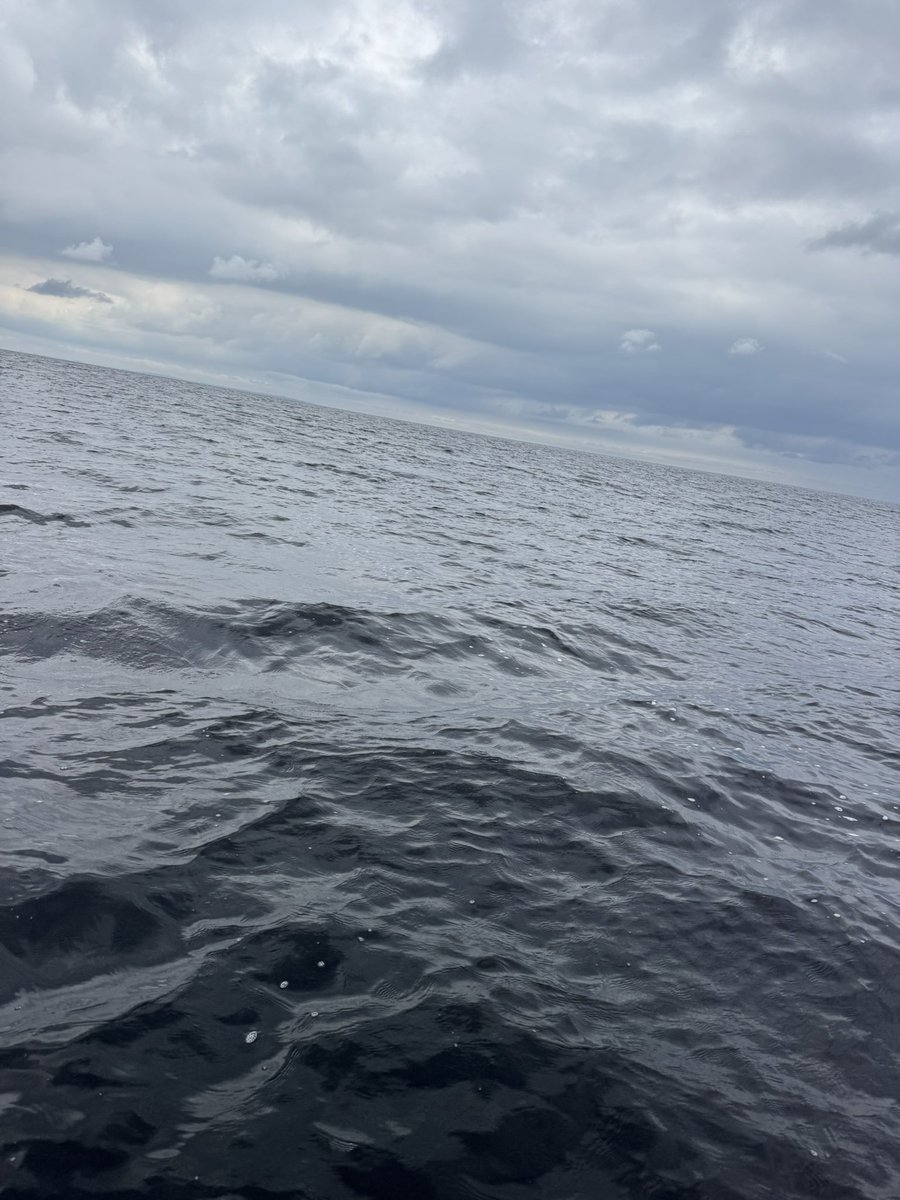 Joshua SANDJA tweet media