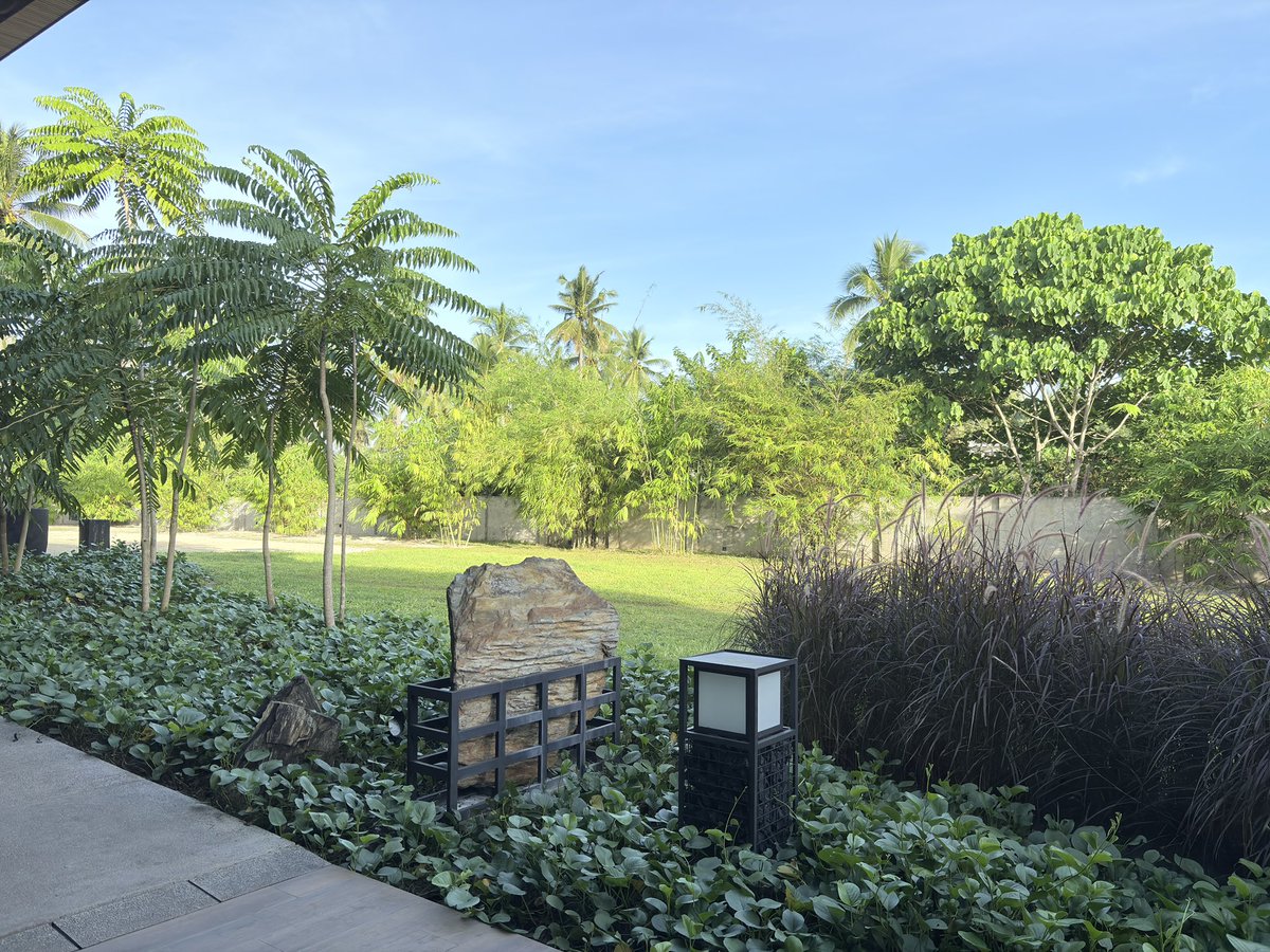 GoBeafeb's tweet image. #FunnyLion #PuertoPrincesa #Palawan