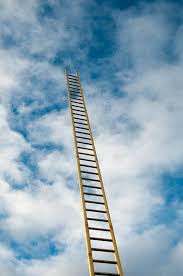 Preet Ramsha tweet media