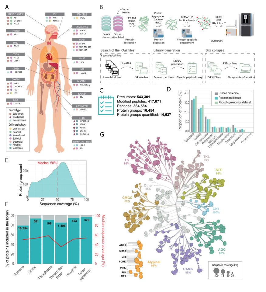 ReSyn Biosciences tweet media