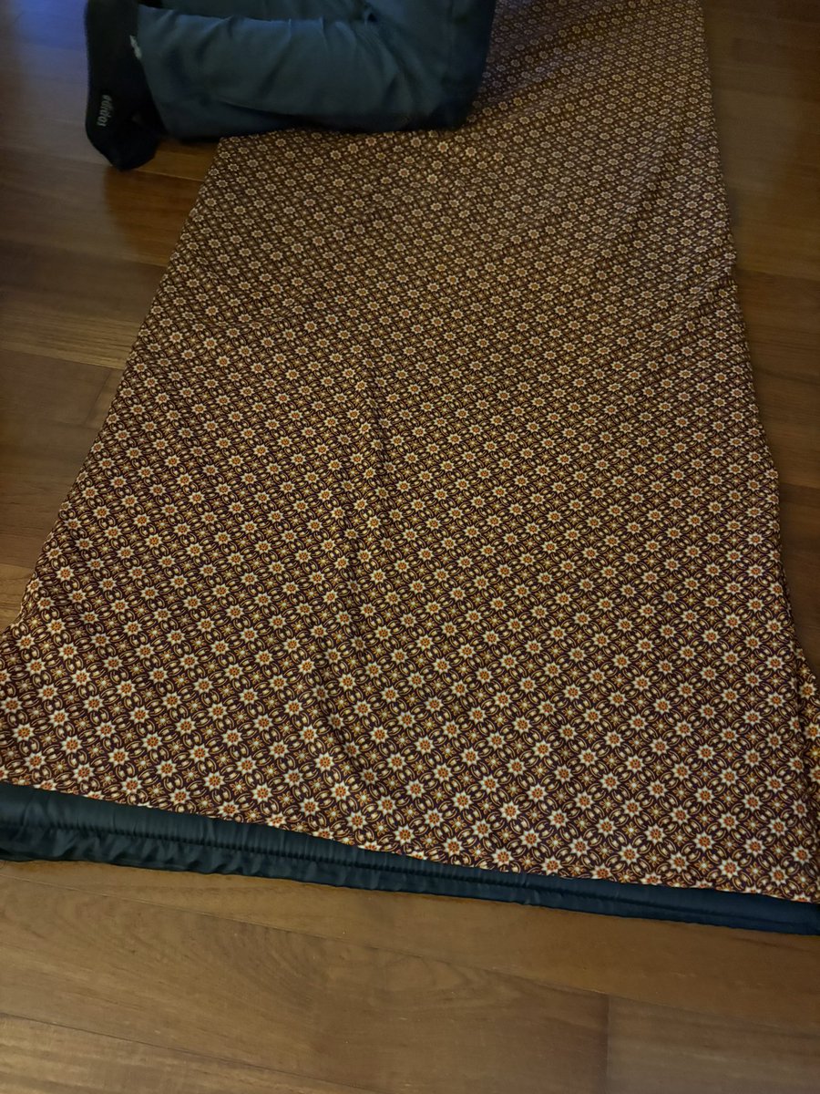 SachikoHarp3's tweet photo. タイでは家に来てくれるマッサージサービスが色々増えてて、初めて夫が利用してみた。
暗くしてハープを弾いてあげたら最高じゃない？
テレビを観ていたからやらなかったけど。 https://t.co/3FbOXPVkLi