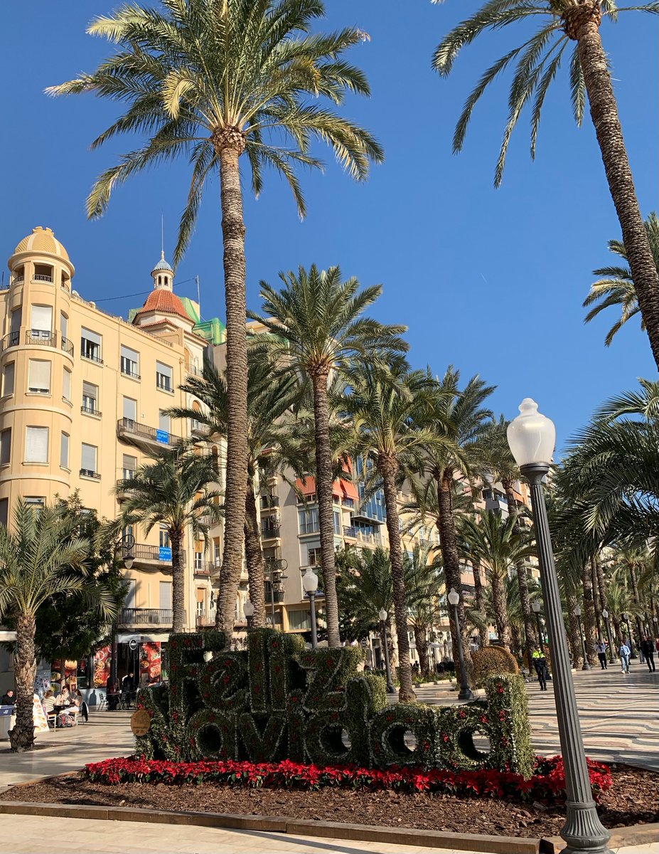 Erasmus+ : Retour à #Toulouse de nos élèves TSECU et TAGORA en PFMP (3 sem.) à #Alicante🇪🇸. 
Une belle aventure professionnelle faite de rencontres✨️, d'ouverture culturelle et favorisant l'autonomie 👍
<a href="/VoiePROToulouse/">Voie pro Toulouse</a> <a href="/DSDEN31/">DSDEN 31</a>  <a href="/EuroElp/">ELP Euro Lycee Pro</a> <a href="/LanguesLP_Tlse/">Langues au LP Toulouse</a>