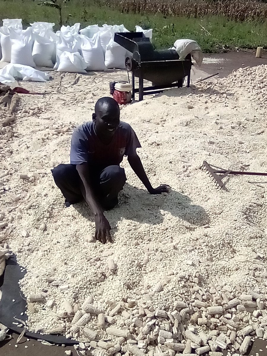 AgriShare Uganda tweet media