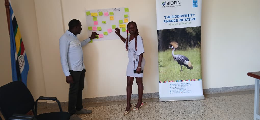 Y4BioClimate's tweet photo. The expectations of participants at the Gulu Regional Capacity-Building and Consultation Workshop are sky-high: mastering carbon markets, honing tree-growing techniques, delving into climate and biodiversity insights, exploring BIOFIN's impactful work, and https://t.co/Uu8u59DfoA