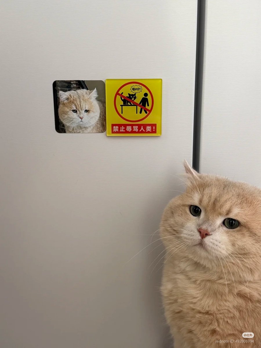 nocontextscats's tweet photo. He was banned 😭 https://t.co/fdIN0bDTY2