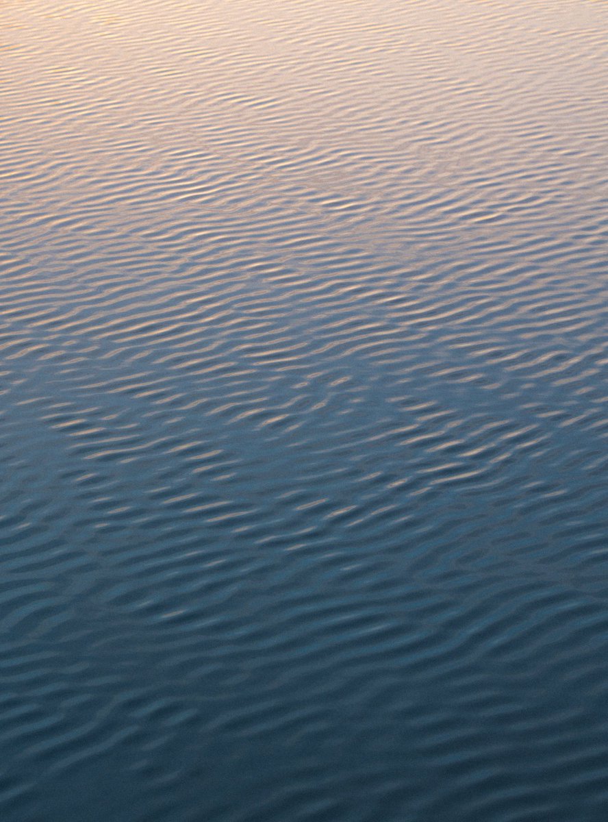 Chris West tweet media