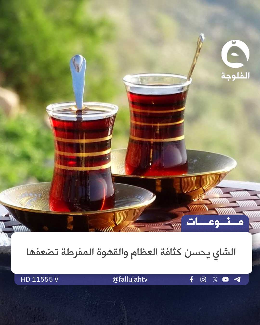 دراسة جديدة تكشف أن الشاي قد يدعم كثافة العظام لدى النساء المسنات، بينما الإفراط في القهوة قد يهددها. ما الكمية الآمنة؟ 