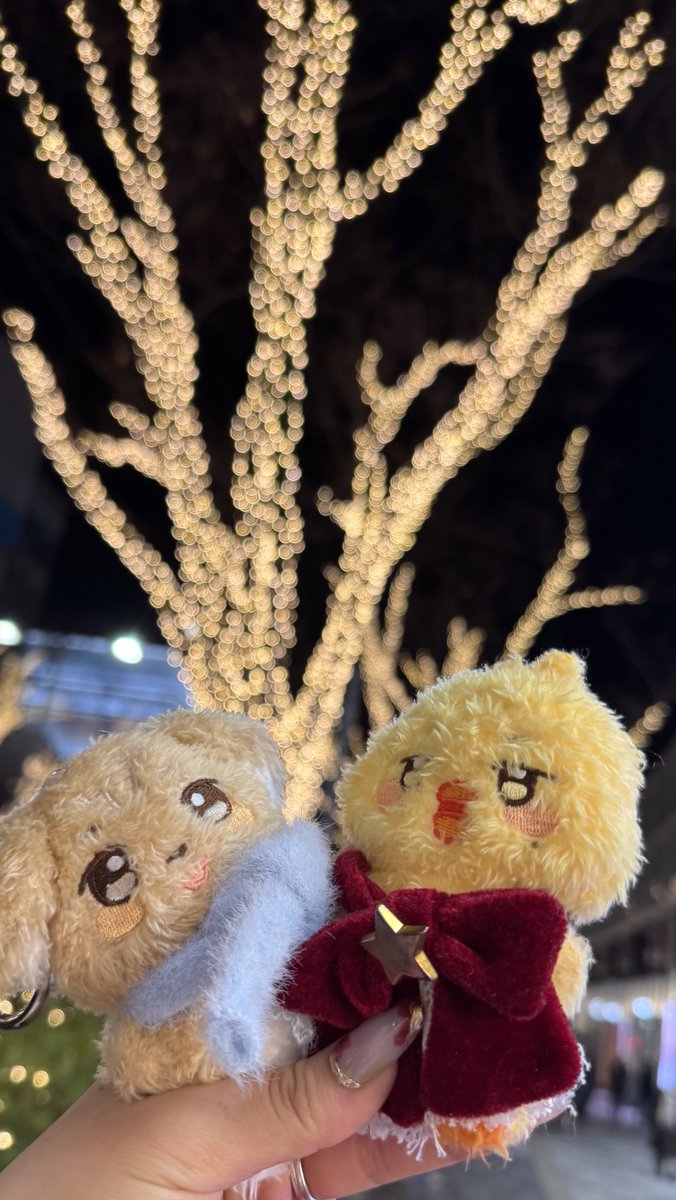 .°:.⁂⁑＊⋆ 🐶 🐥 ⋆＊⁑⁂.:°.