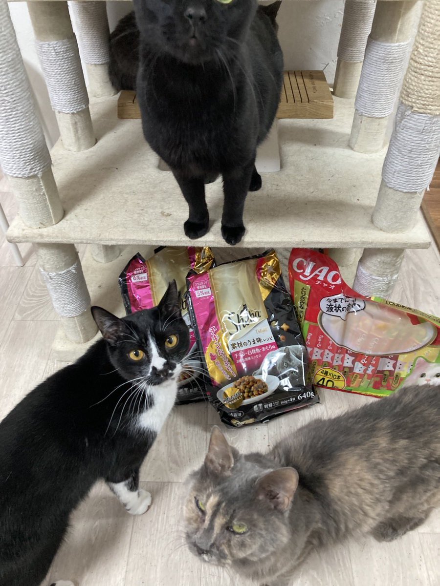 ありがとうございます