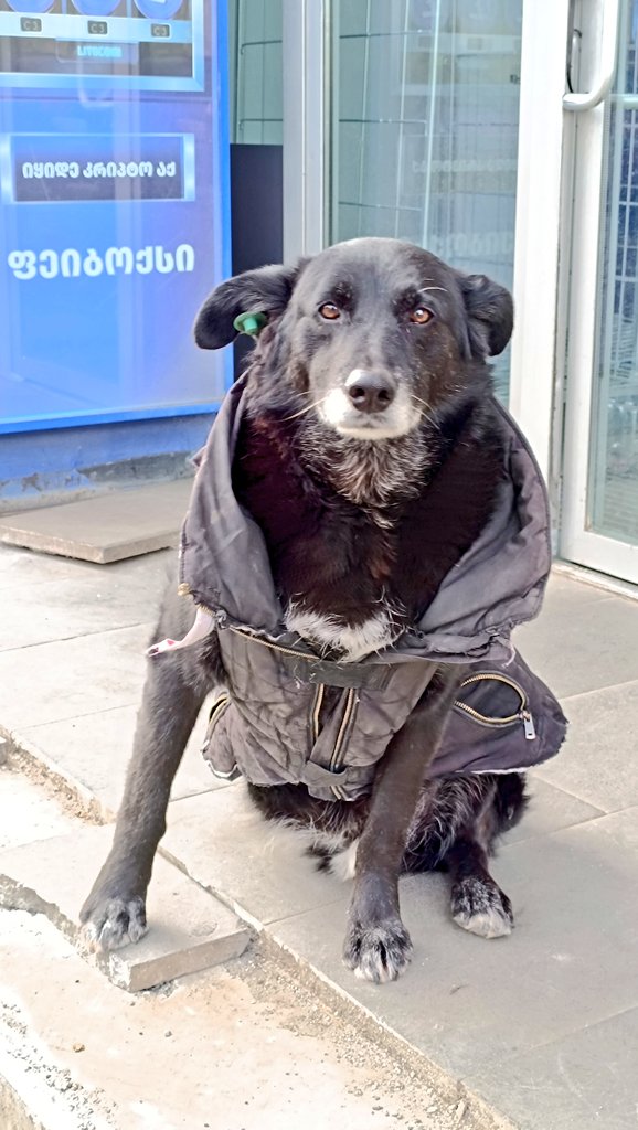 Altlead's tweet image. Во-первых, это стильно!