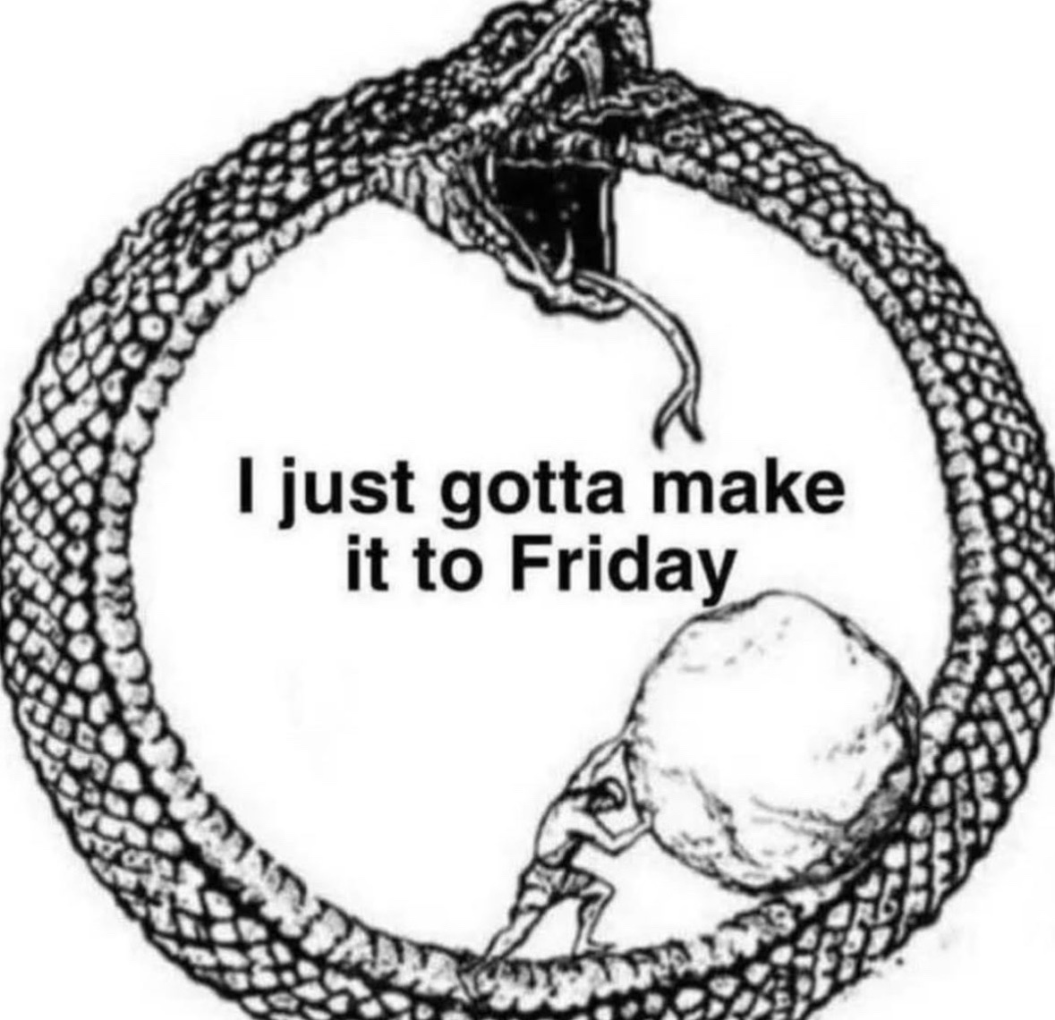 Respectful Memes (@respectfulmemes) on Twitter photo 