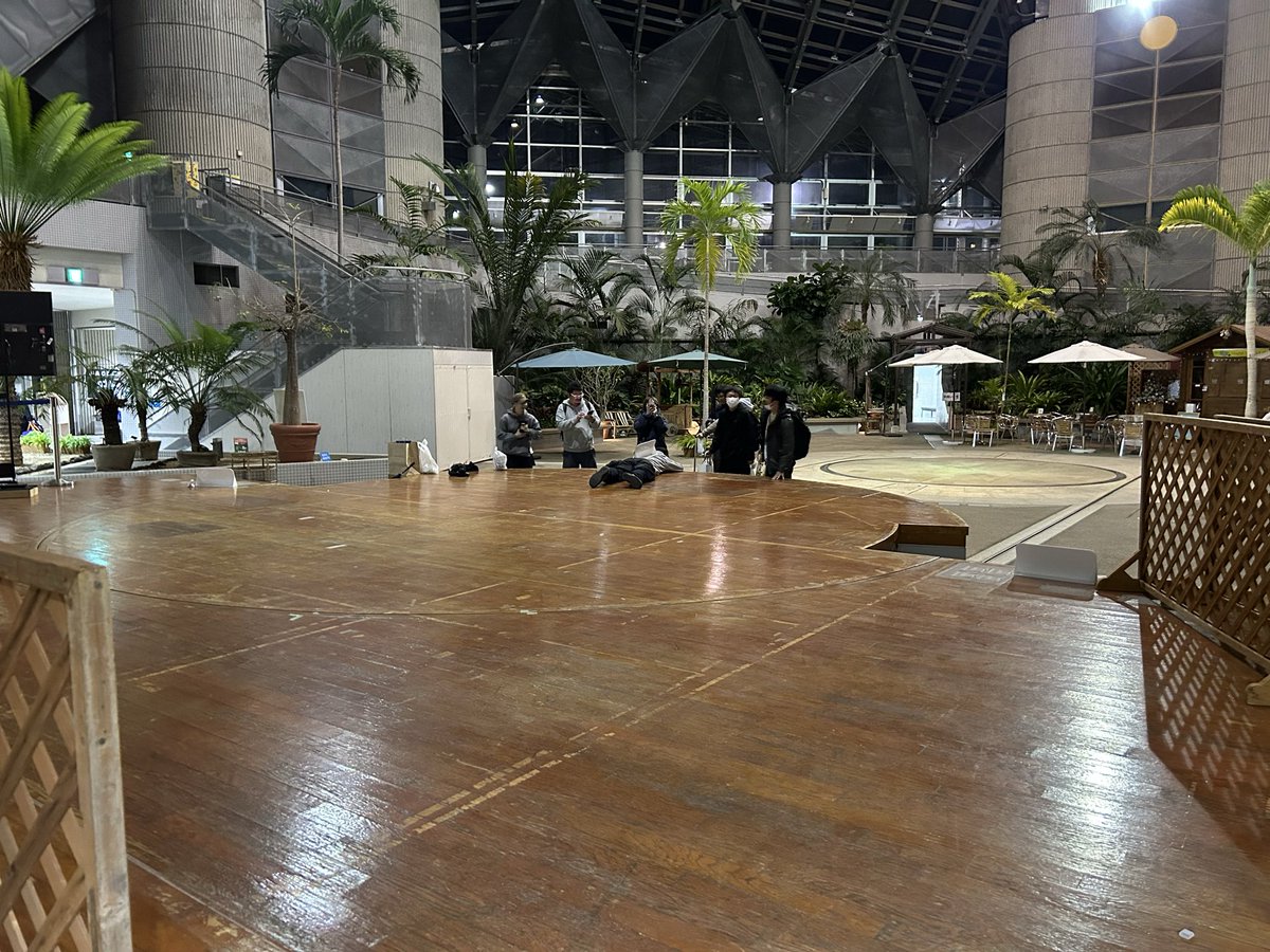 ✴️10/16まで期間限定✴️★◉早い者勝ち◉★【大株】ユーフォルビアゴルゴニス実生 史上最大32名×超高額自腹!!ピタリでたら1000万円 大晦日もゴチになり