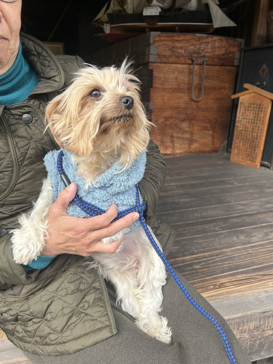 poppy🐥 (@groovy03291013) / Posts / X