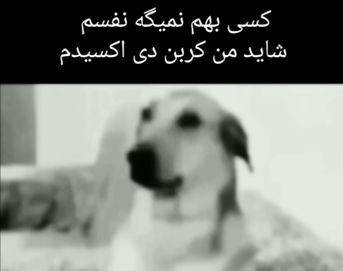 چارنى دپ (@charnidep) on Twitter photo 