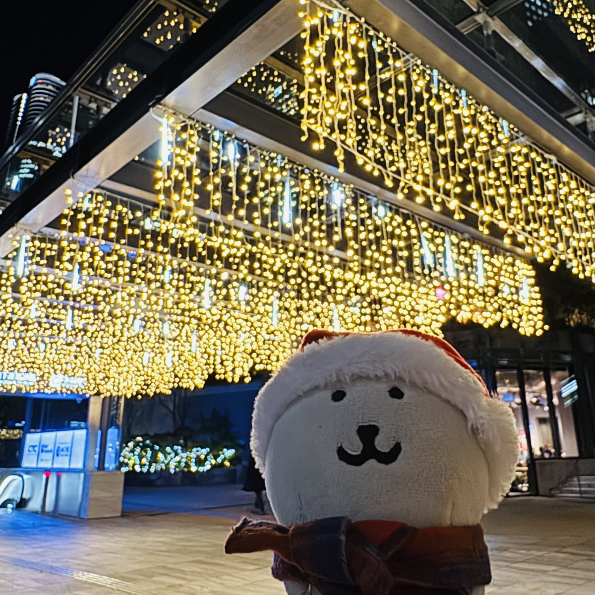 にくまんページ ω・*)くま撮りのロケハンするくま