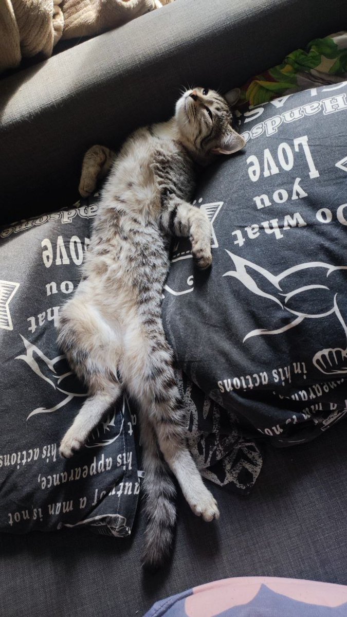 dadisapp's tweet photo. он на самом деле кайфушник https://t.co/3OFW5ZLL4S